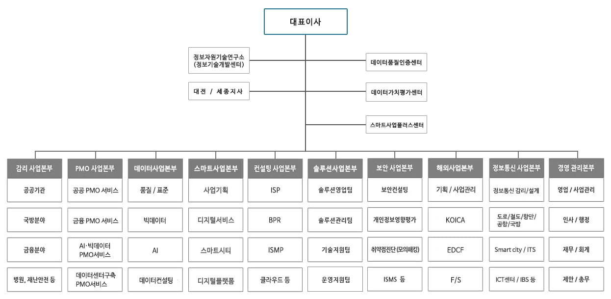 정보기술단 대표이사 예하 정보자원기술연구소, 대전/세종지사, 감리사업본부, 컨설팅사업본부, PMO사업본부, 보안사업본부, 정보통신사업본부, 경영관리본부로 나누어진다. 감리사업본부는 공공기관, 국방분야, 금융분야, 재난안전부야등 컨설팅사업본부는 해외사업, BRP/ISP, 빅데이터/IOT, 클라우드 등 PMO사업본부는 PMO서비스, 데이터 품질인증, 시스템 테스트, 시스템 운영진단 등, 보안사업본부는 보안컨설팅, 개인정보영향평가,취약점진다(모의해킹),ISMS등 정보통신사업본부는 통신망, 도로/철도/ U-city/IBS, ICT센터 등, 경영관리본부는 영업/사업관리, 인사/행정, 재무/회계, 제안/총무 등으로 나뉜다.
